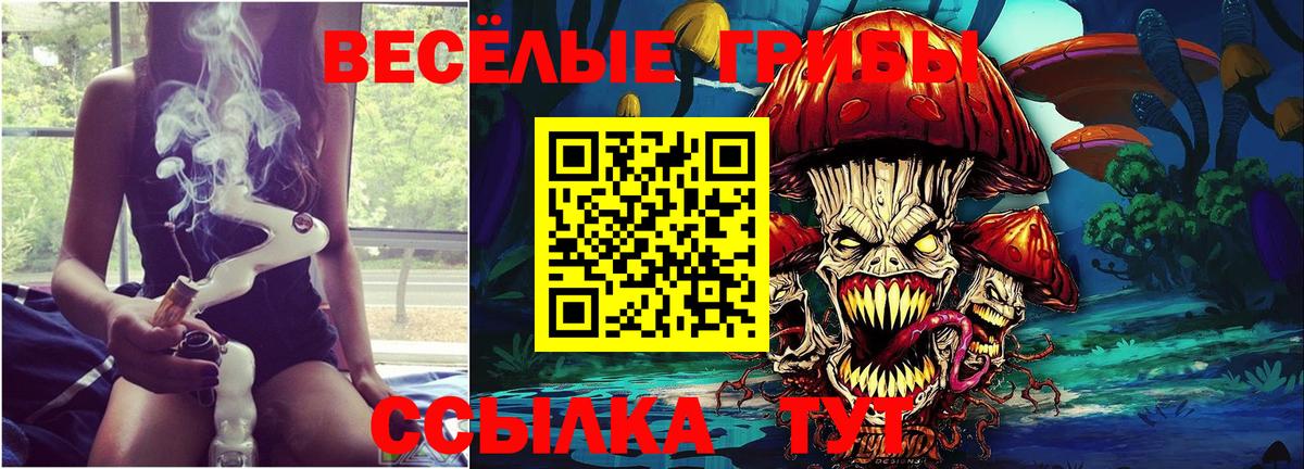 Галлюциногенные грибы GOLDEN TEACHER Белогорск
